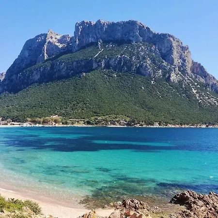 Apartmán Iss Travel, Citai Panoramic - 1,5 Km From The *